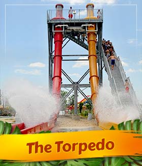 The Torpedo