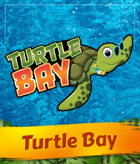 Turtle Bay 